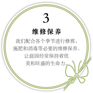 3. 维修保养 我们配合各个季节进行修剪、施肥和消毒等必要的维修保养，让庭园经常保持着优美和旺盛的生命力。