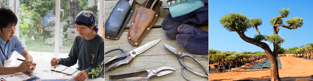 Living garden for your life